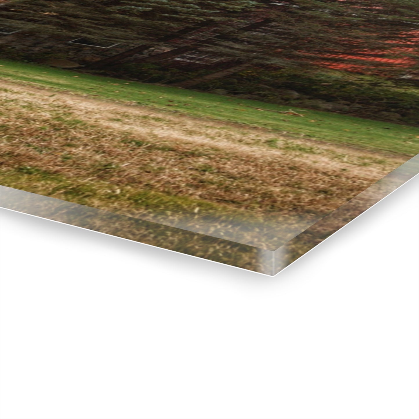 U R There Photography Laur Road Red Among the Pines II Rustic Farmhouse Acrylic Wall Print