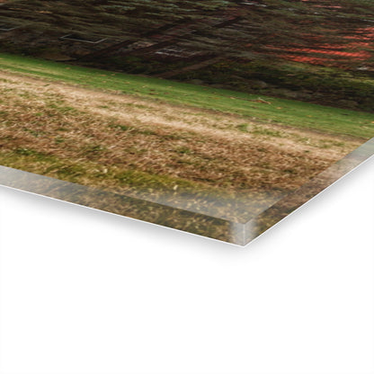 U R There Photography Laur Road Red Among the Pines II Rustic Farmhouse Acrylic Wall Print