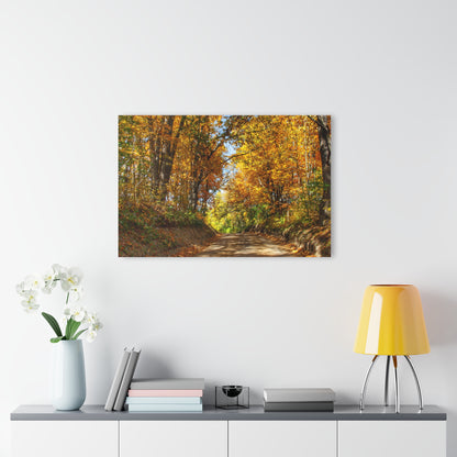 Barn Boutique Modern Farmhouse Acrylic Wall Print| Harson Road in Fall I