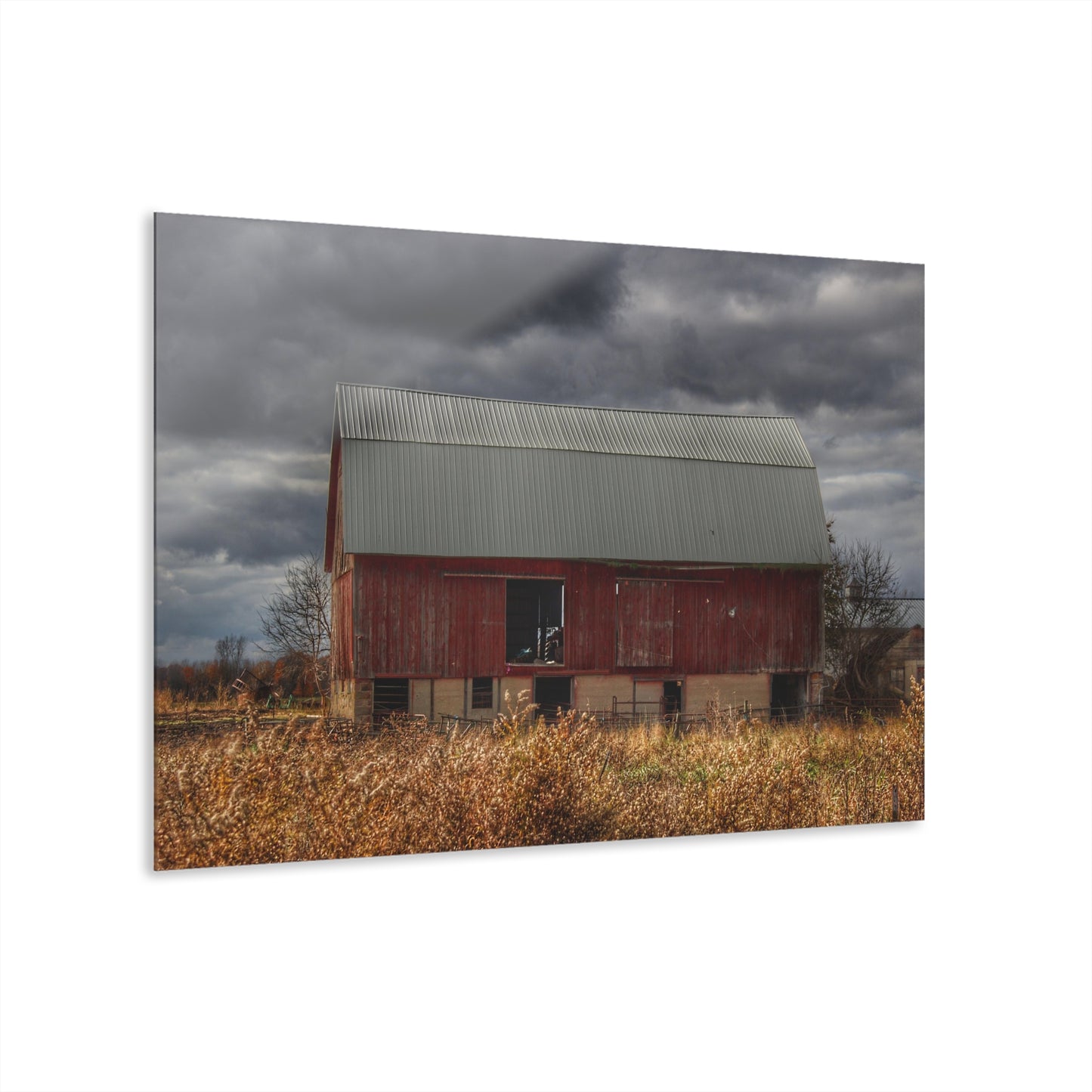 U R There Photography Booth Road Cow Barn I Rustic Farmhouse Acrylic Wall Print