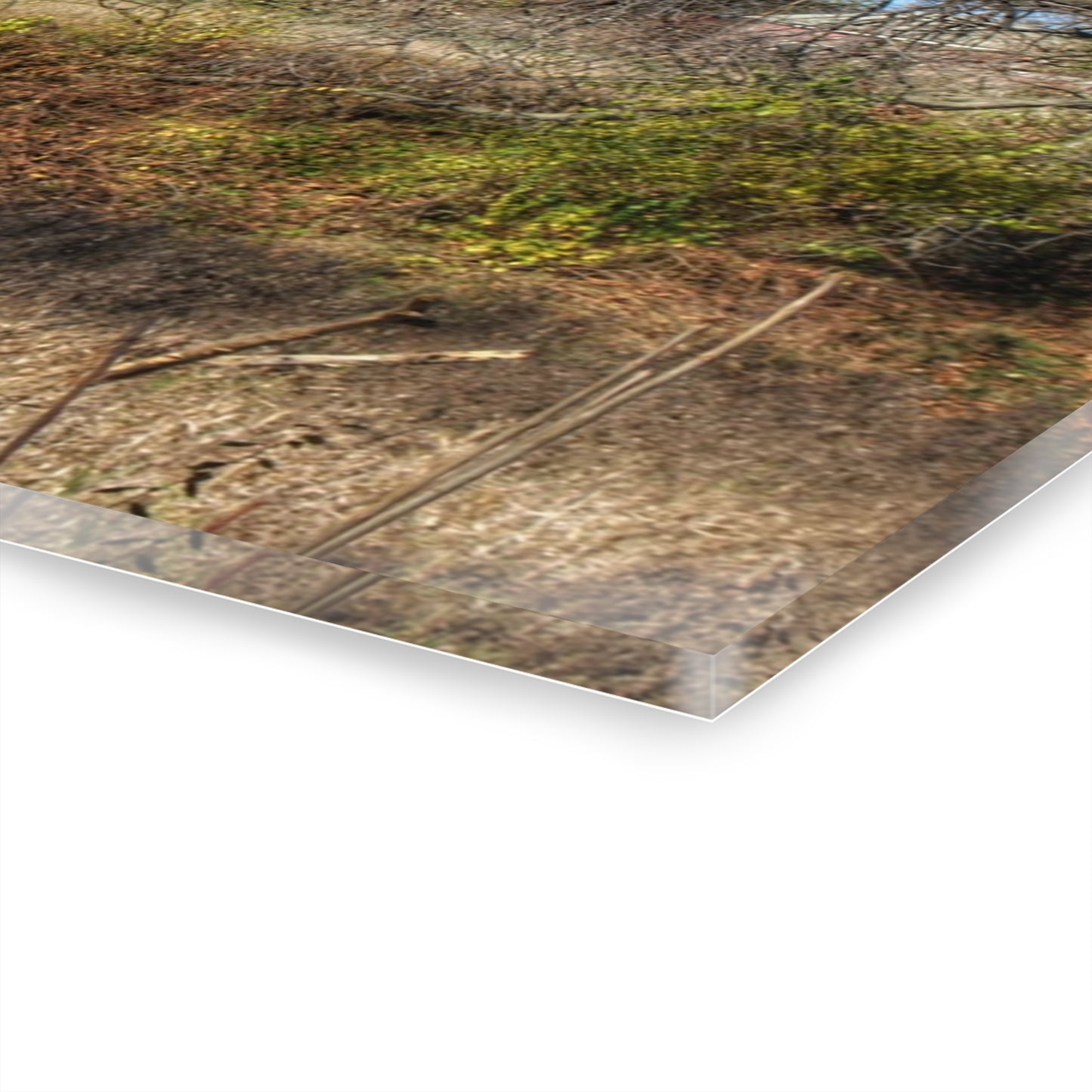 U R There Photography Hadley Red I Rustic Farmhouse Acrylic Wall Print