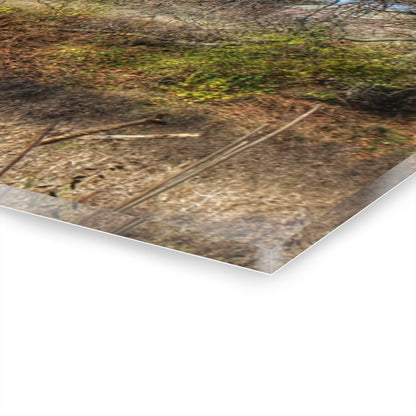 U R There Photography Hadley Red I Rustic Farmhouse Acrylic Wall Print