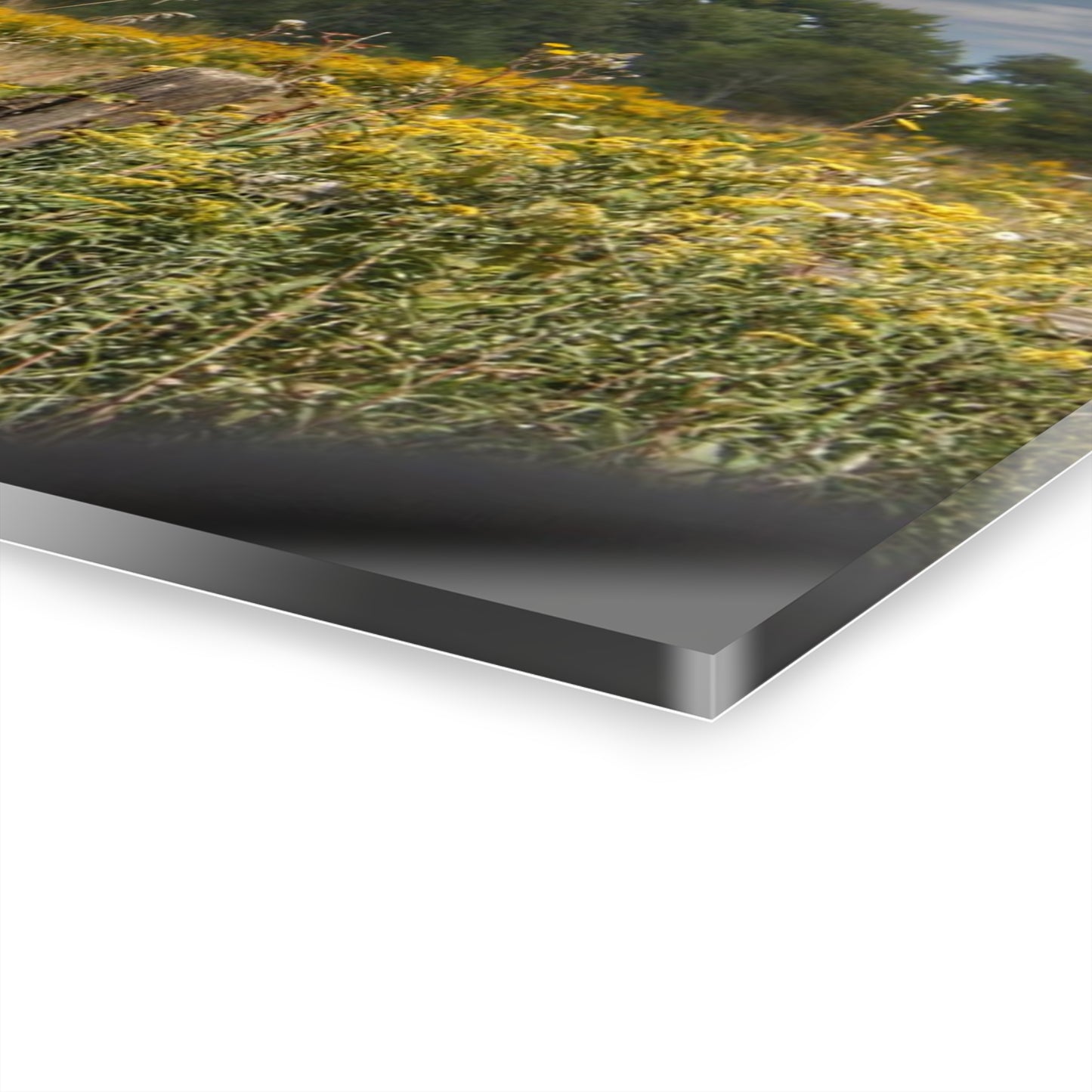 U R There Photography Nettney Road Red Rustic Farmhouse Acrylic Wall Print