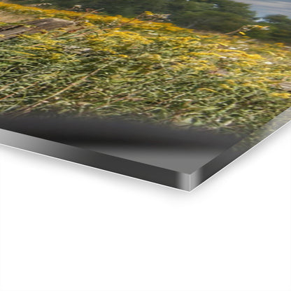 U R There Photography Nettney Road Red Rustic Farmhouse Acrylic Wall Print