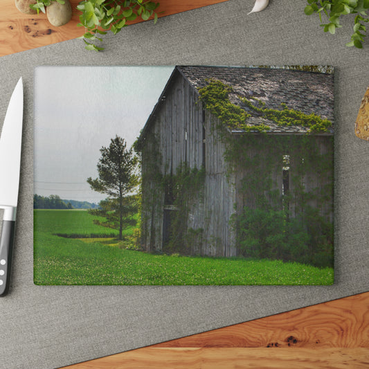 U R There Photography Caro Road Twin Grey I Rustic Farmhouse Tempered-Glass Cutting Board
