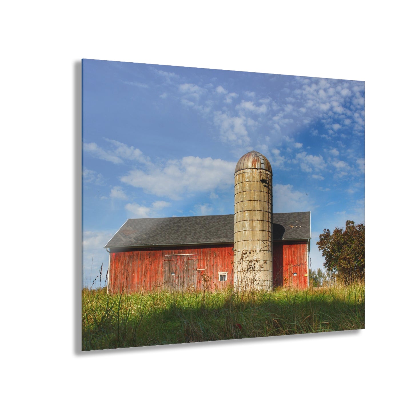 Barn Boutique Modern Farmhouse Acrylic Wall Print| Clarkston Road Red I