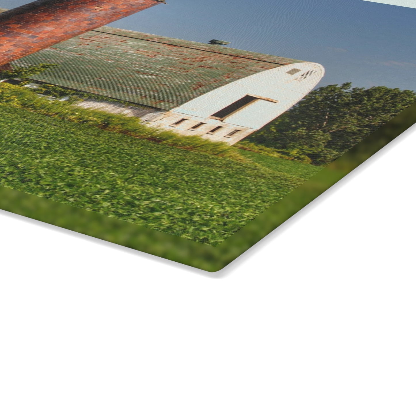 U R There Photography Elba White and Silo Rustic Farmhouse Tempered-Glass Cutting Board