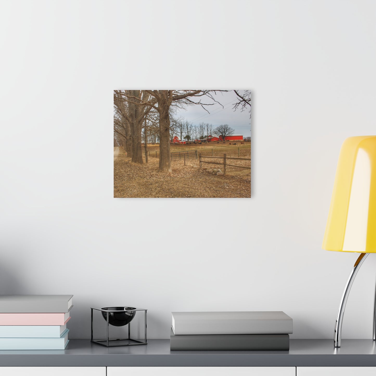 U R There Photography Wilder Road Cow Farm Rustic Farmhouse Acrylic Wall Print