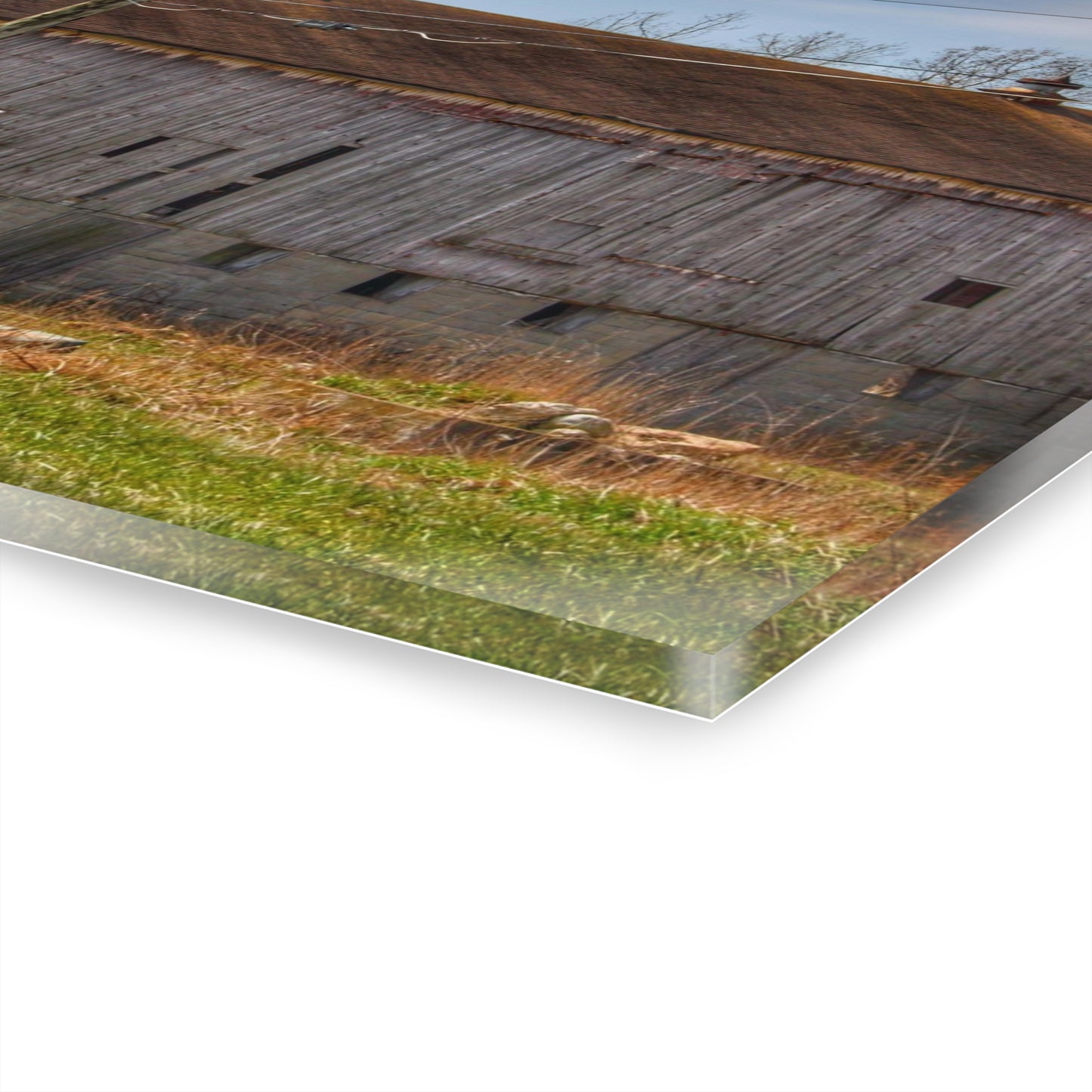 U R There Photography Metamora M-24 Grey III Rustic Farmhouse Acrylic Wall Print