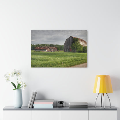 U R There Photography Barkley Road Trio Rustic Farmhouse Acrylic Wall Print