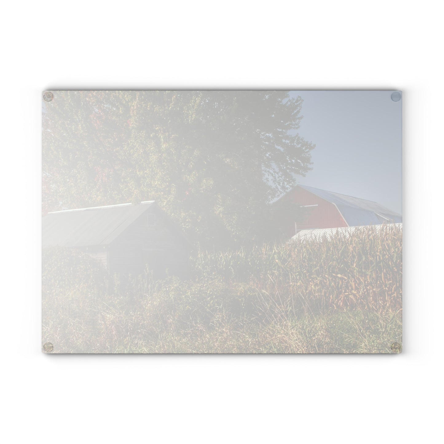 U R There Photography Barnes Road Hidden Red and Little Grey Rustic Farmhouse Tempered-Glass Cutting Board