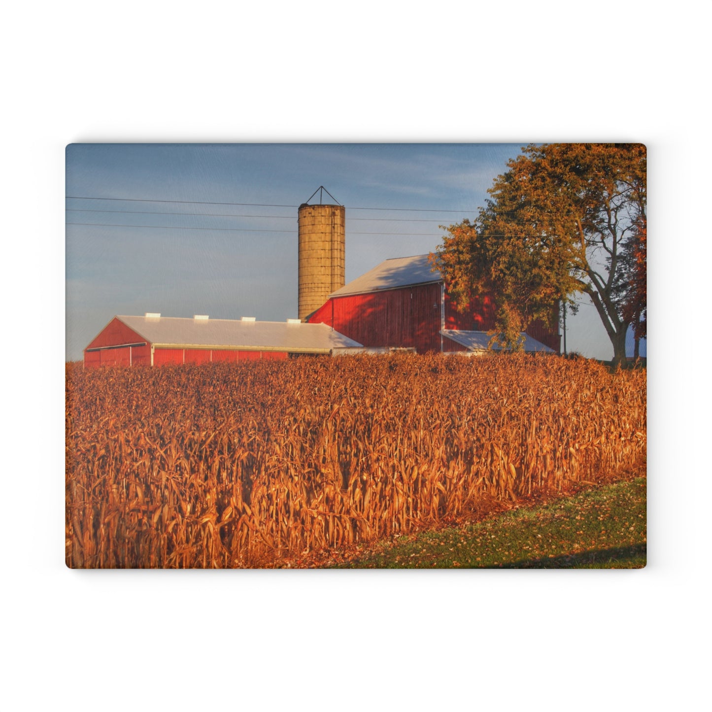 U R There Photography Lake Pleasant Reds I Rustic Farmhouse Tempered-Glass Cutting Board