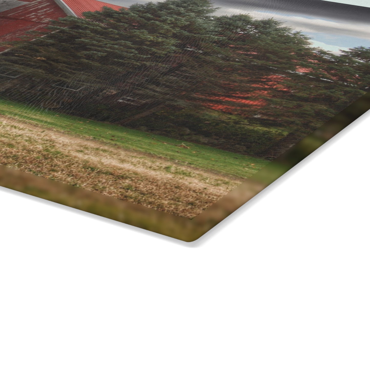 U R There Photography Laur Road Red Among the Pines II Rustic Farmhouse Tempered-Glass Cutting Board