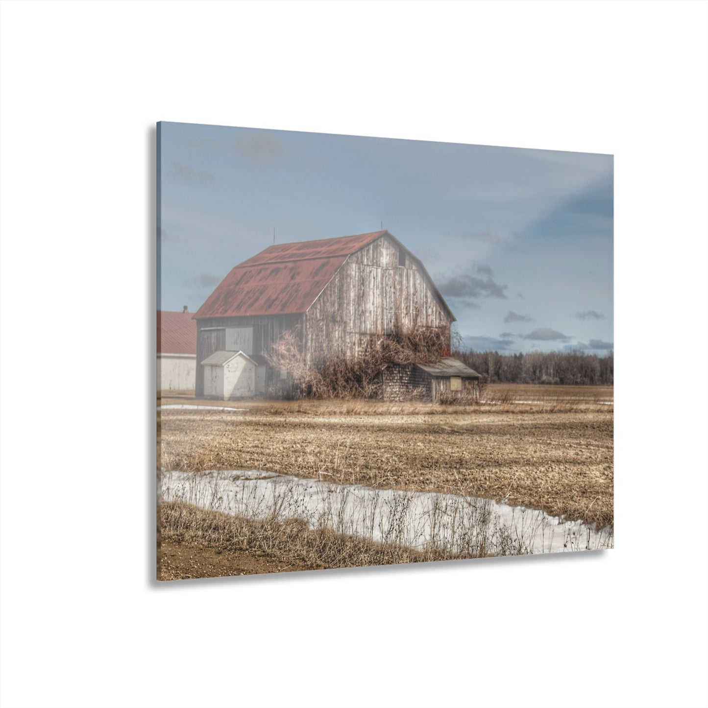 U R There Photography South Church Road Rusty Red Rustic Farmhouse Acrylic Wall Print