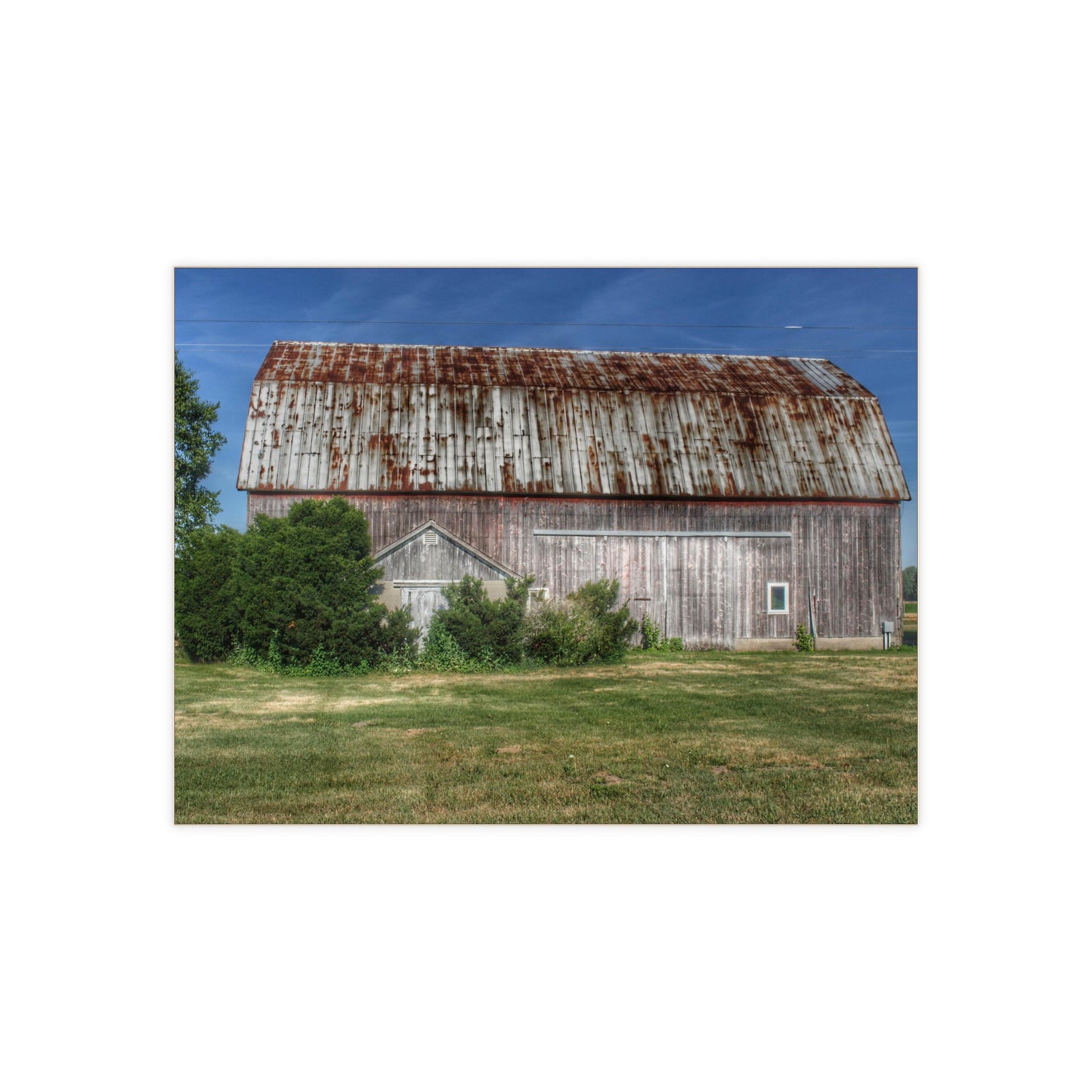 U R There Photography Barkley Road Red in Summer I Rustic Farmhouse Decorative Ceramic Tile