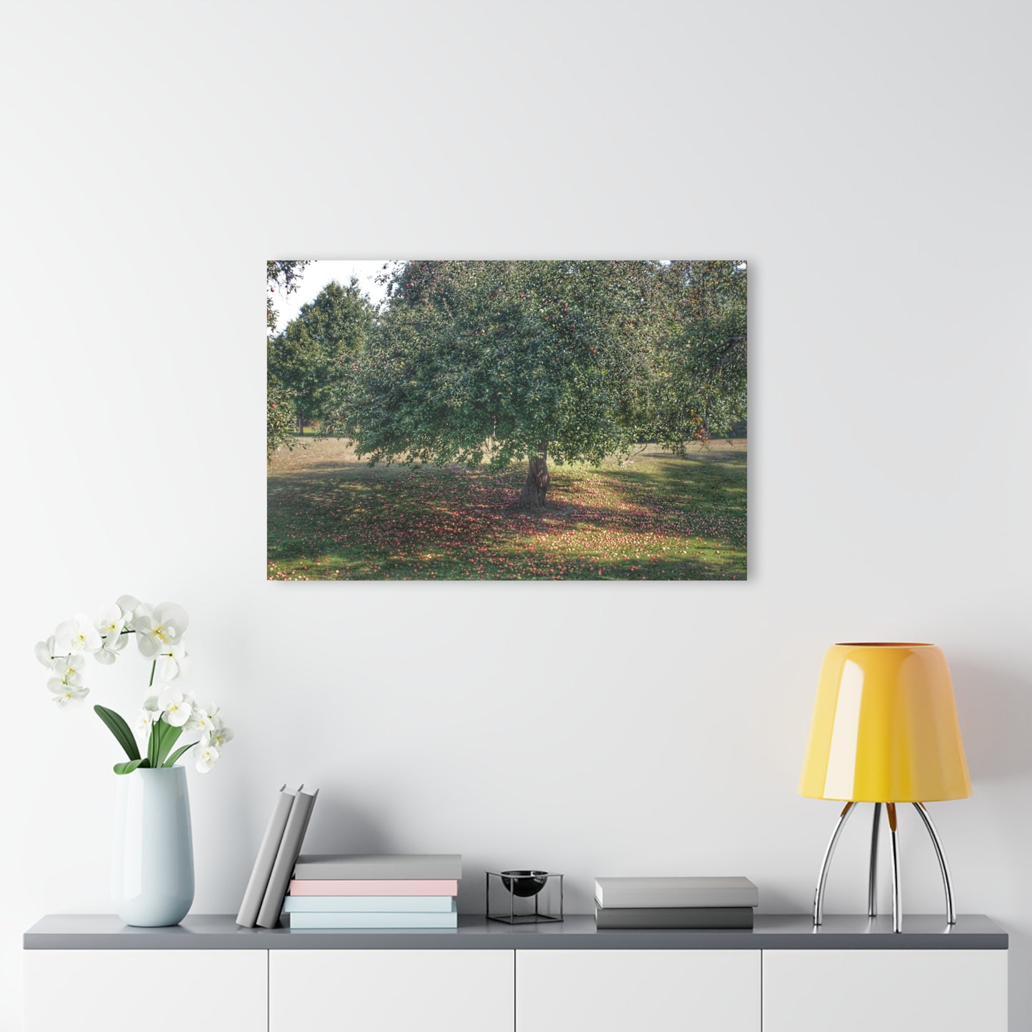 U R There Photography Apple Tree and Apples Rustic Farmhouse Acrylic Wall Print