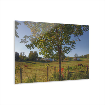 Barn Boutique Modern Farmhouse Acrylic Wall Print| Hunters Creek Ponies