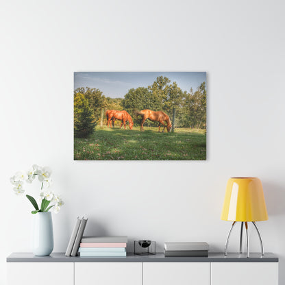 U R There Photography Caramel Horses Rustic Farmhouse Acrylic Wall Print