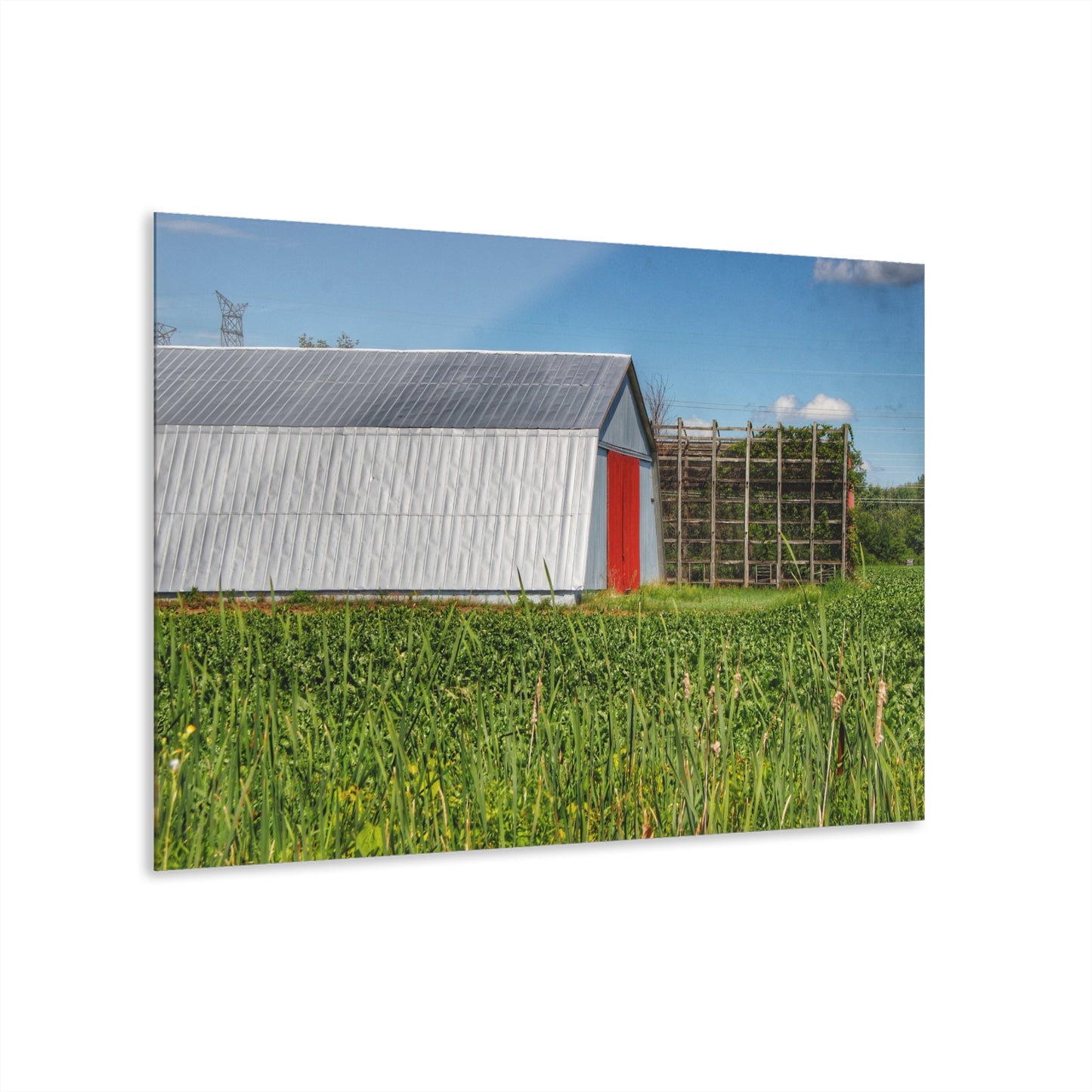 U R There Photography Montrose Farm II Rustic Farmhouse Acrylic Wall Print