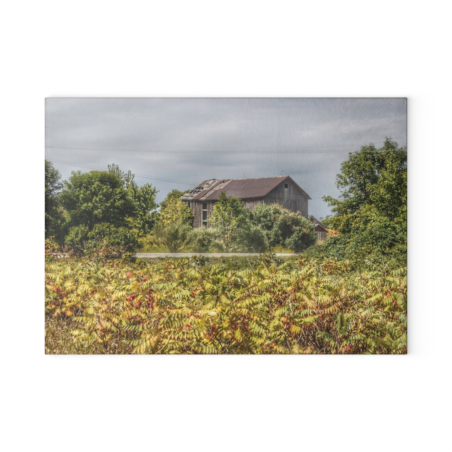 U R There Photography Van Dyke Grey Rustic Farmhouse Tempered-Glass Cutting Board