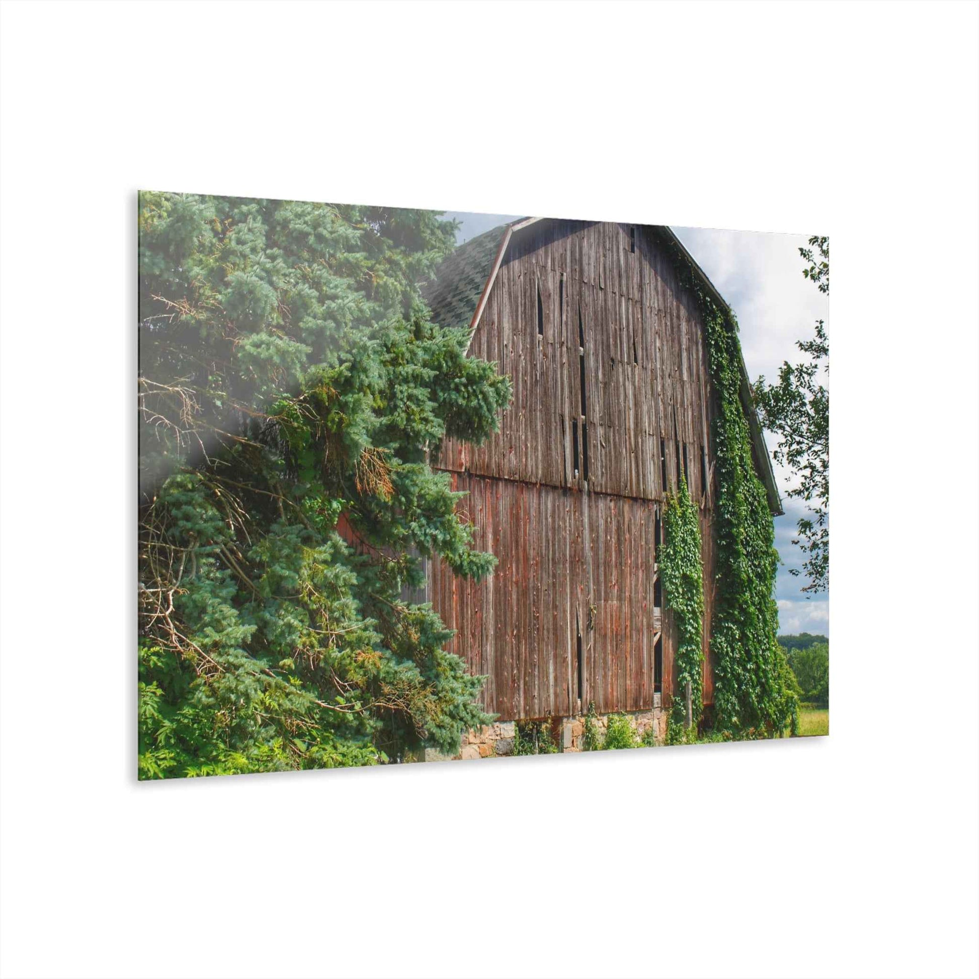 U R There Photography North Branch Ivy Grey I Rustic Farmhouse Acrylic Wall Print