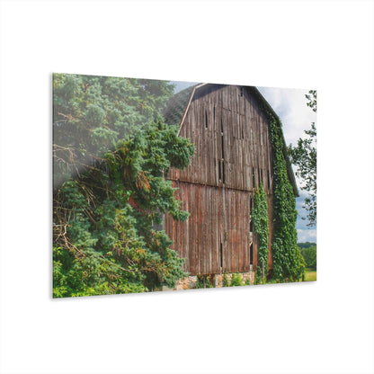 U R There Photography North Branch Ivy Grey I Rustic Farmhouse Acrylic Wall Print