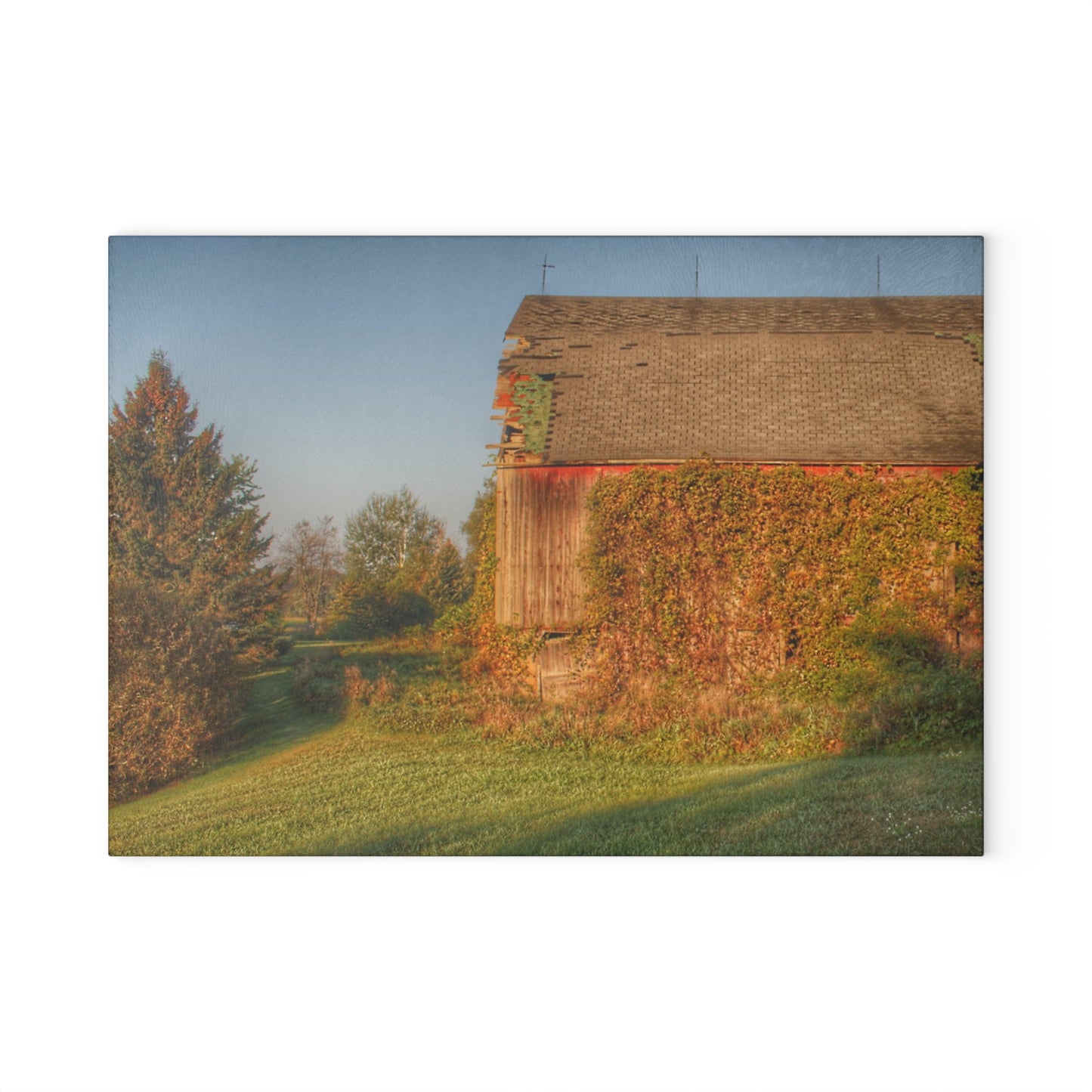 U R There Photography Bearanger Road Red Rustic Farmhouse Tempered-Glass Cutting Board