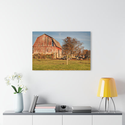 U R There Photography Marathon Road Red Rustic Farmhouse Acrylic Wall Print