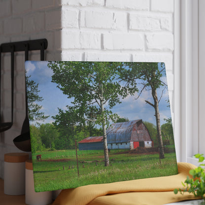 U R There Photography Shepard Road Hillman Red Rustic Farmhouse Tempered-Glass Cutting Board