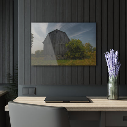 U R There Photography Cat Lake Grey I Rustic Farmhouse Acrylic Wall Print