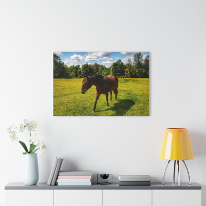 U R There Photography Brown Beauty II Rustic Farmhouse Acrylic Wall Print