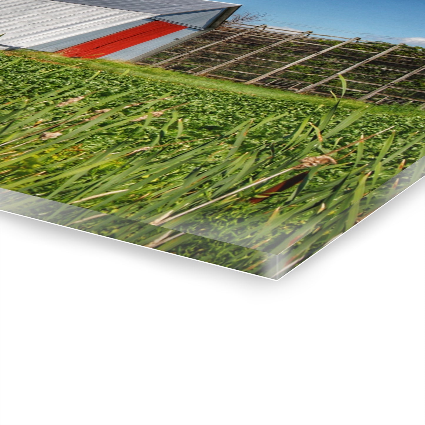 U R There Photography Montrose Farm II Rustic Farmhouse Acrylic Wall Print