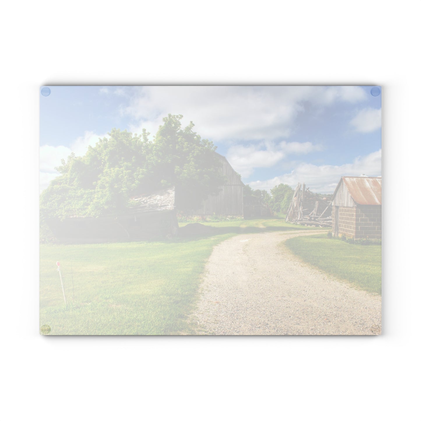 U R There Photography Brown City Road Barn and Buddy II Rustic Farmhouse Tempered-Glass Cutting Board