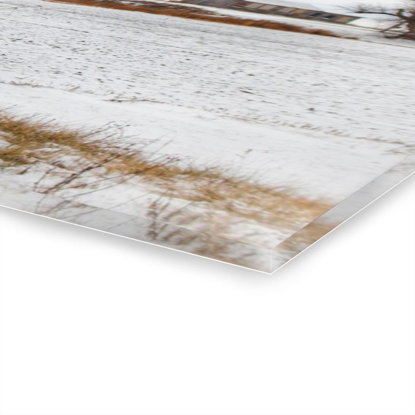 U R There Photography Frenchline Road Grey in Winter Rustic Farmhouse Acrylic Wall Print