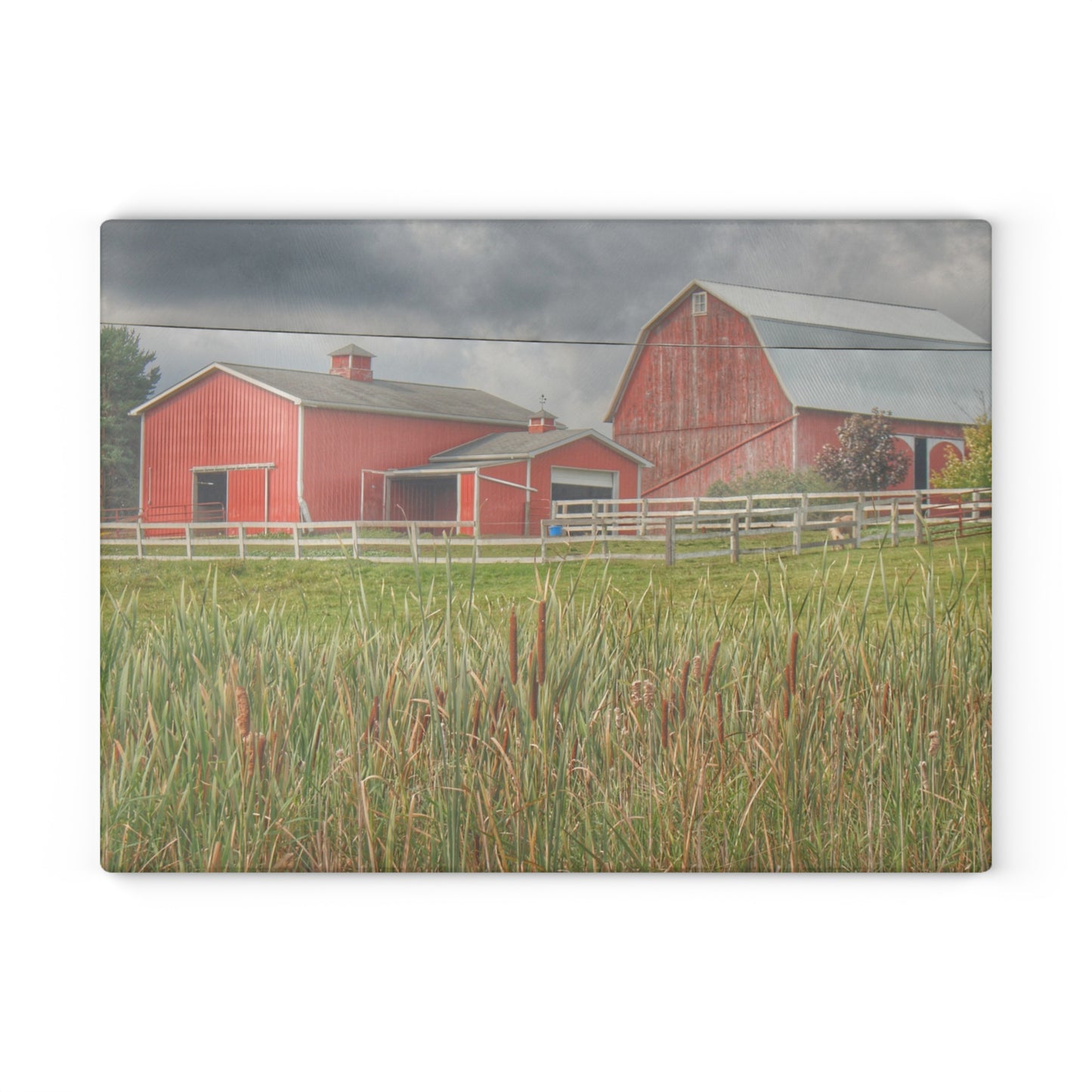 U R There Photography Greenwood Reds Rustic Farmhouse Tempered-Glass Cutting Board