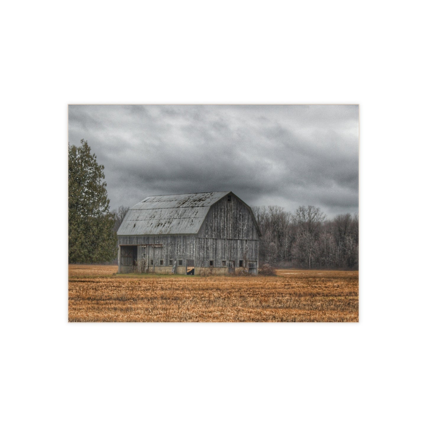 Barn Boutique Rustic Ceramic Wall Tile| Grey Barn and Tree