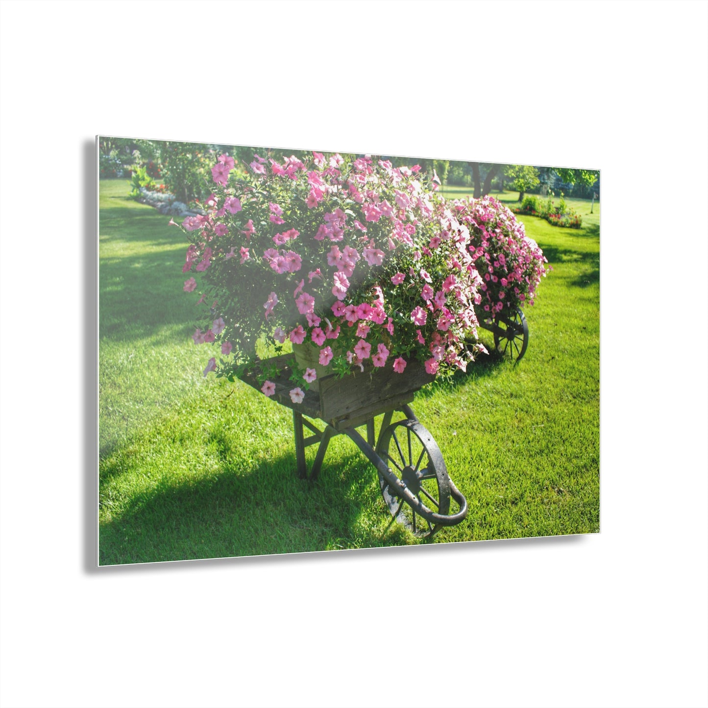 U R There Photography Wheelbarrow Full of Flowers Rustic Farmhouse Acrylic Wall Print