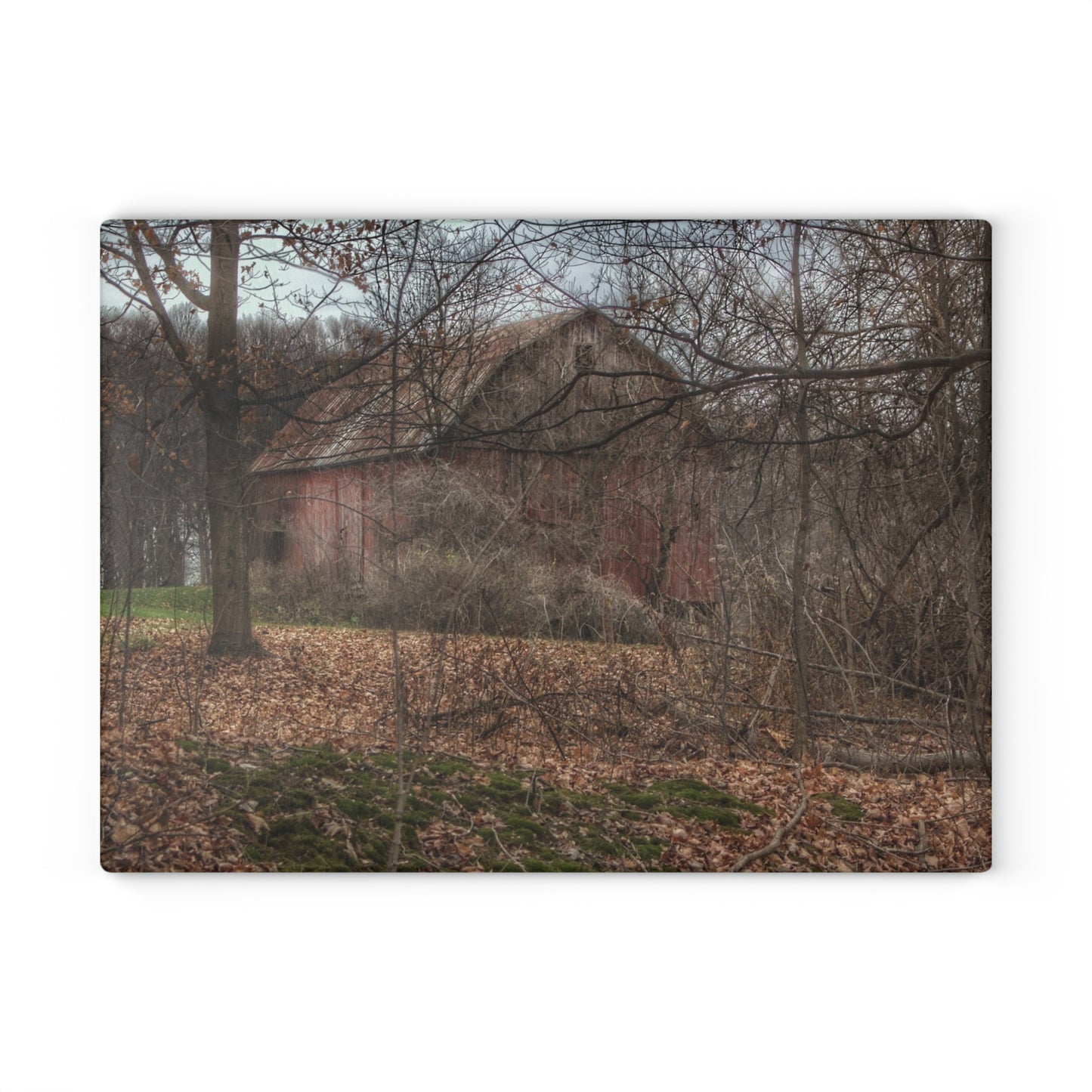 U R There Photography Mayville Hidden Barn II Rustic Farmhouse Tempered-Glass Cutting Board