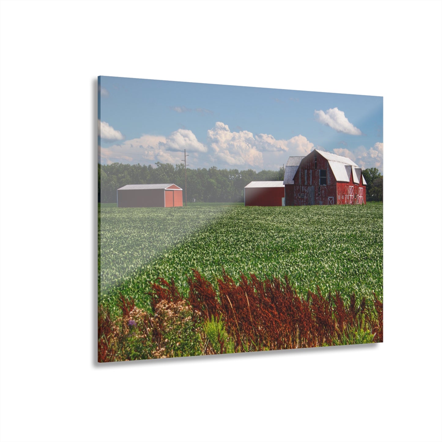 U R There Photography South Gera Road Red Rustic Farmhouse Acrylic Wall Print