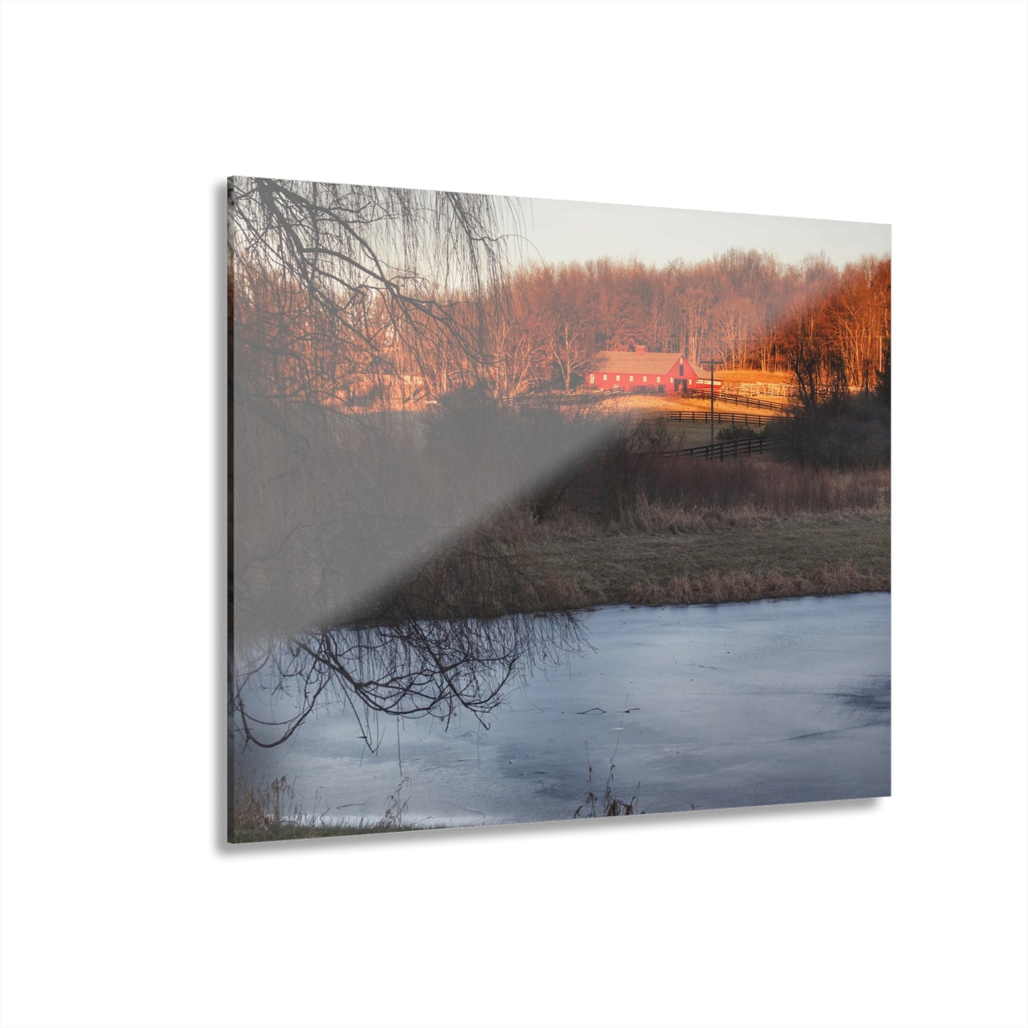 U R There Photography Hidden in Leonard Rustic Farmhouse Acrylic Wall Print