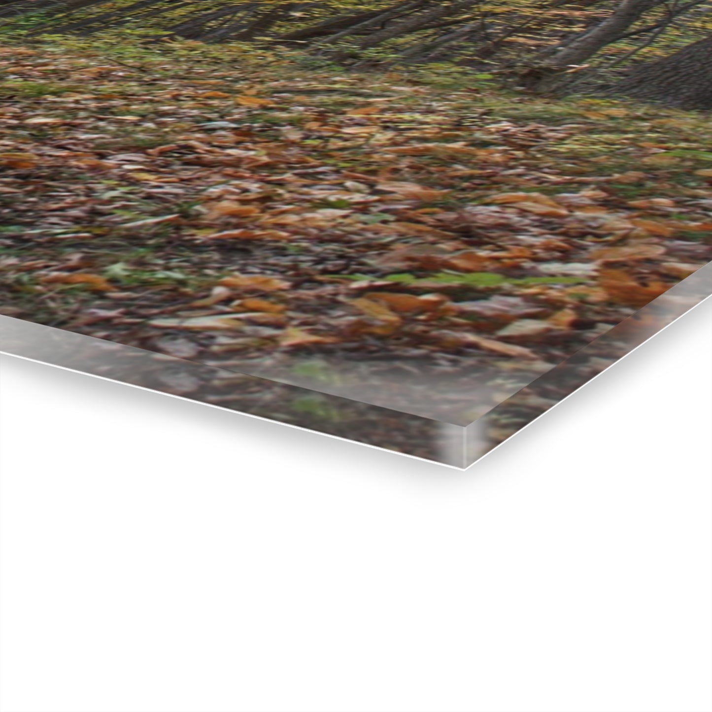 U R There Photography Country Roads in Dryden III Rustic Farmhouse Acrylic Wall Print
