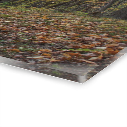 U R There Photography Country Roads in Dryden III Rustic Farmhouse Acrylic Wall Print