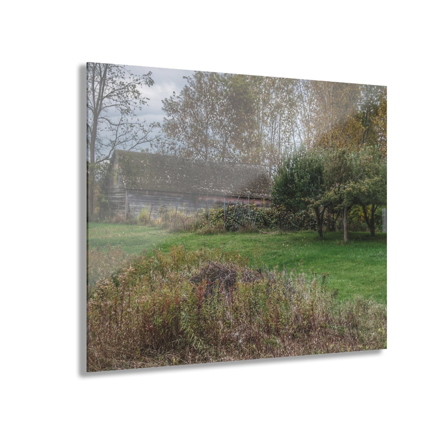 U R There Photography Grey Shack of Elmwood Rustic Farmhouse Acrylic Wall Print