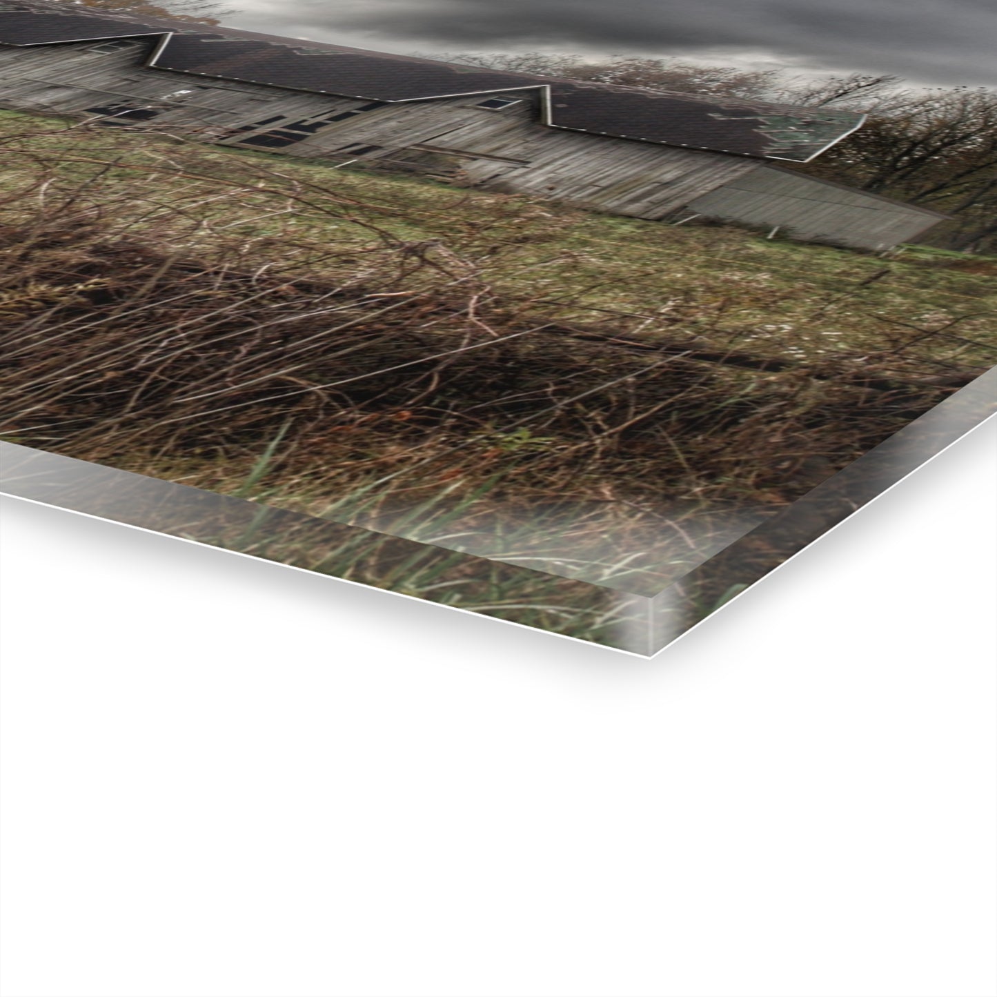 U R There Photography Green Road Grey Rustic Farmhouse Acrylic Wall Print