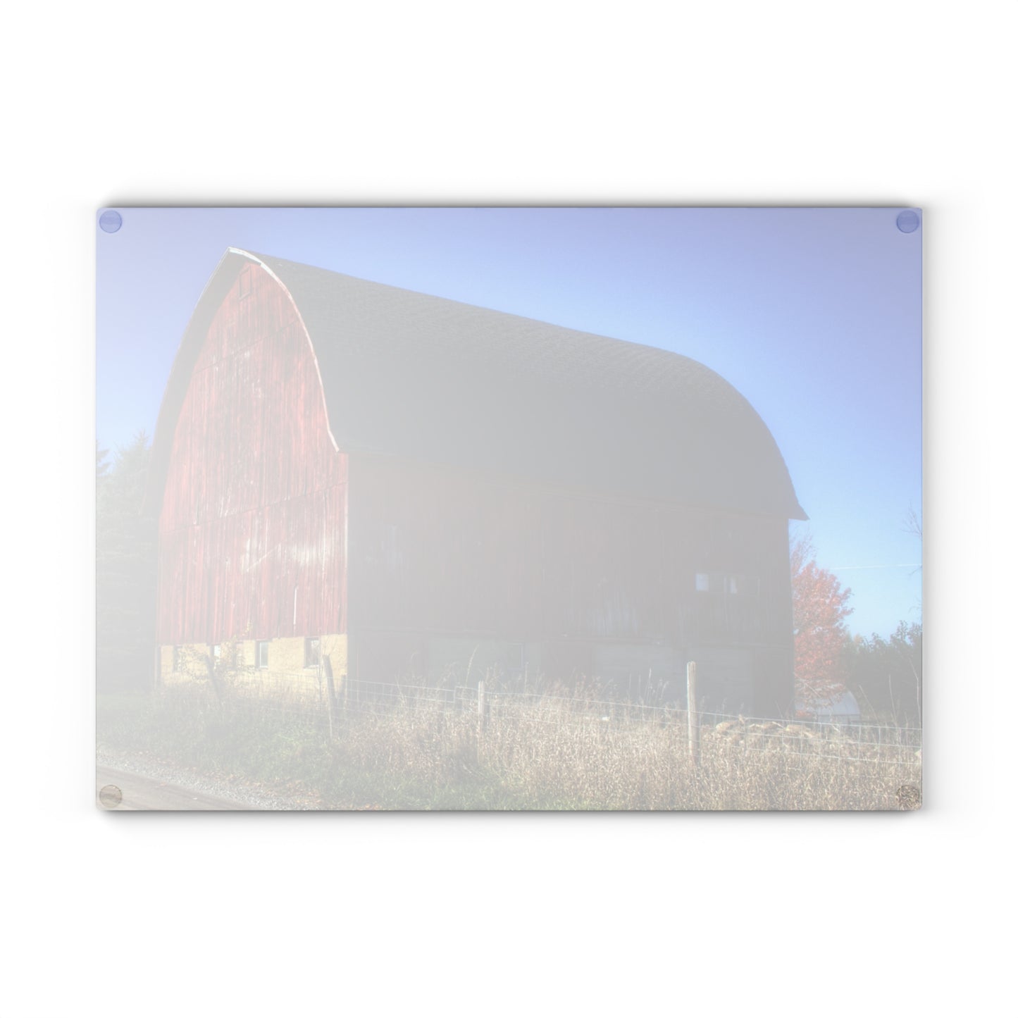U R There Photography Big Red II Rustic Farmhouse Tempered-Glass Cutting Board