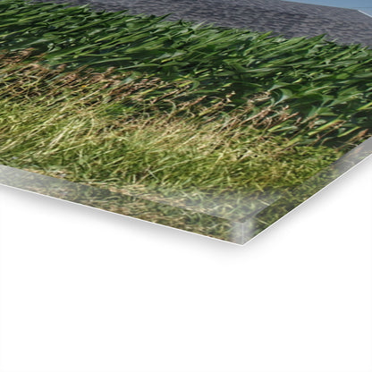 U R There Photography North Lake Pleasant Red Above the Corn Rustic Farmhouse Acrylic Wall Print