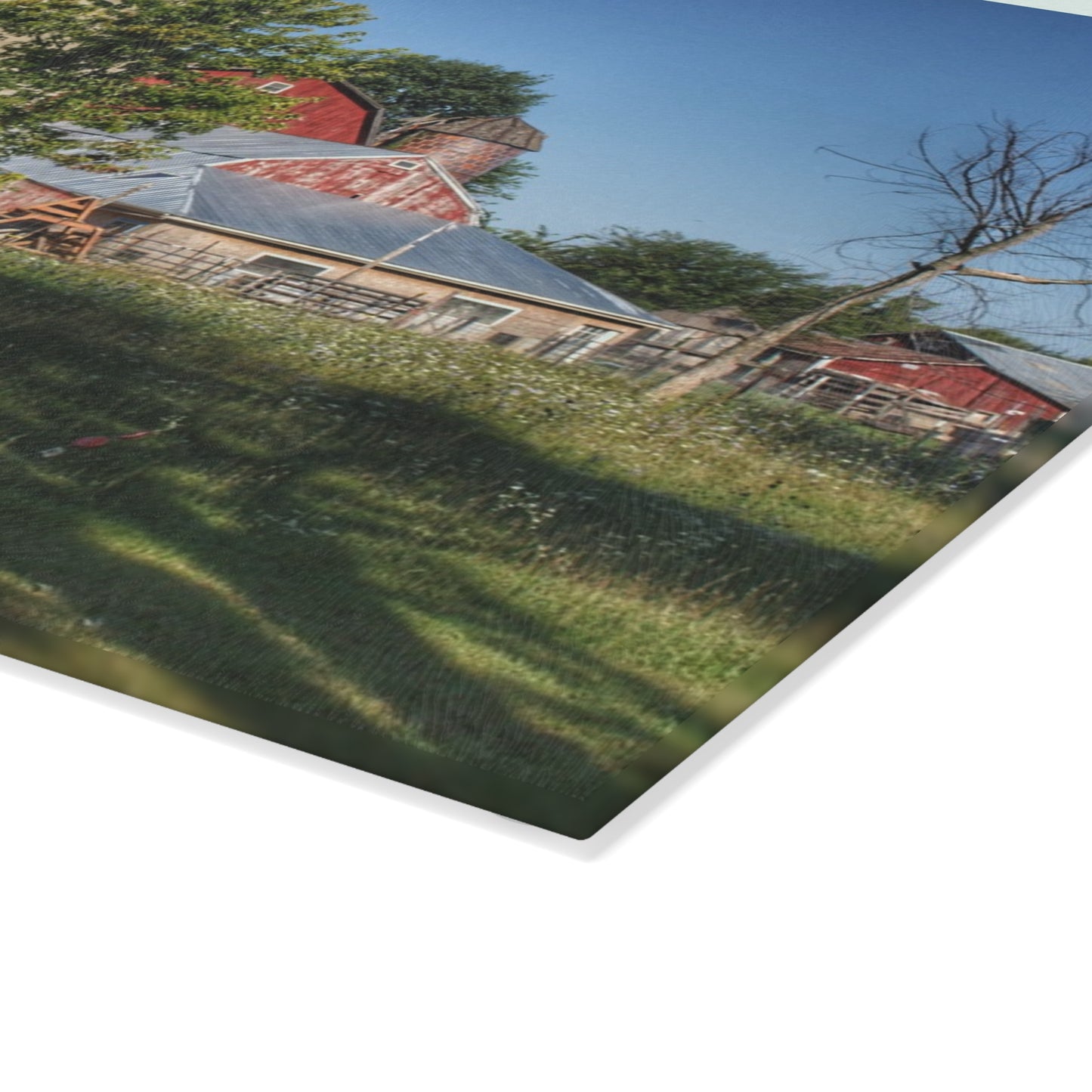 U R There Photography Tody Road Reds Rustic Farmhouse Tempered-Glass Cutting Board