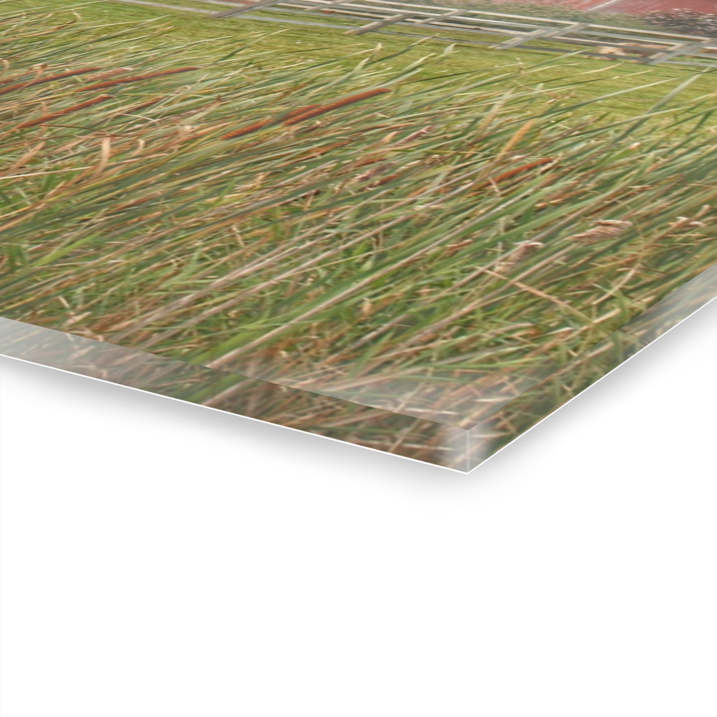 U R There Photography Greenwood Reds Rustic Farmhouse Acrylic Wall Print