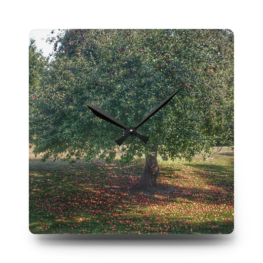 U R There Photography Apple Tree and Apples Rustic Farmhouse Acrylic Analog Wall Clock 10.75'' × 10.75'' (Square)