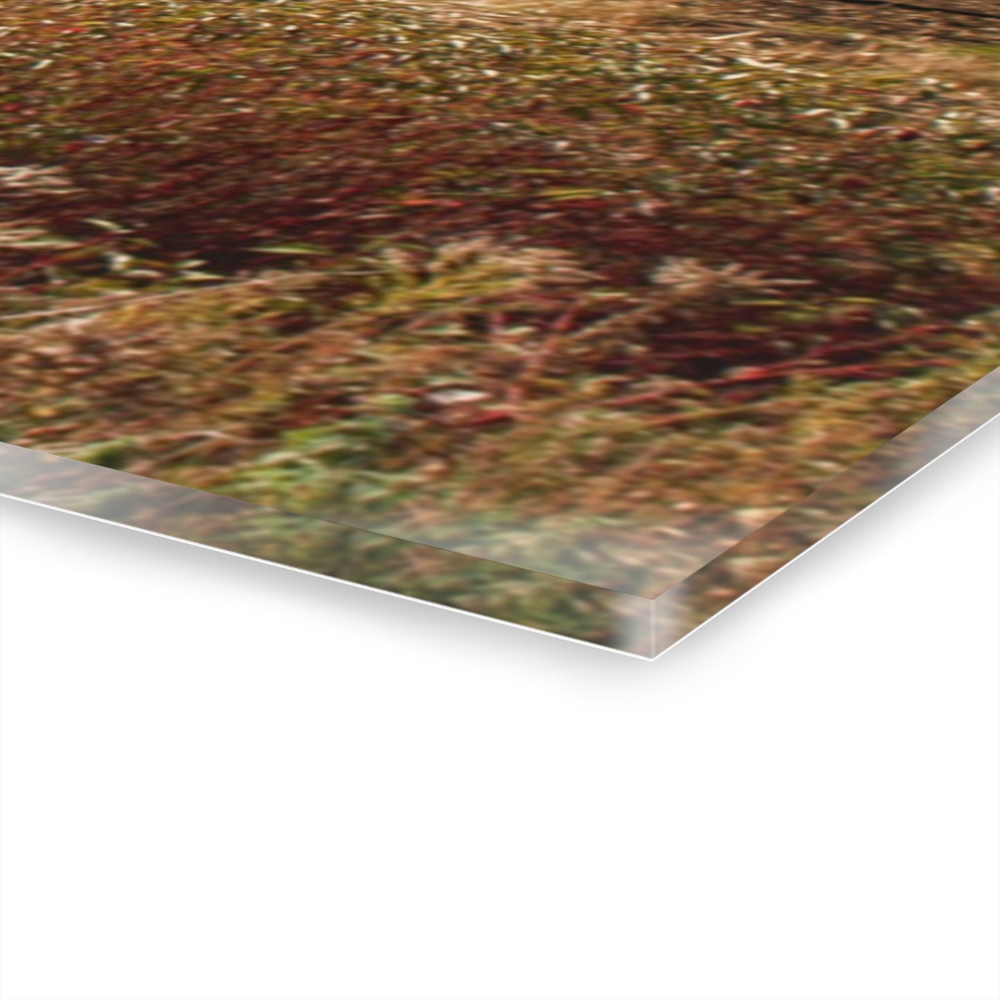 U R There Photography Darbee Red and Silo Rustic Farmhouse Acrylic Wall Print